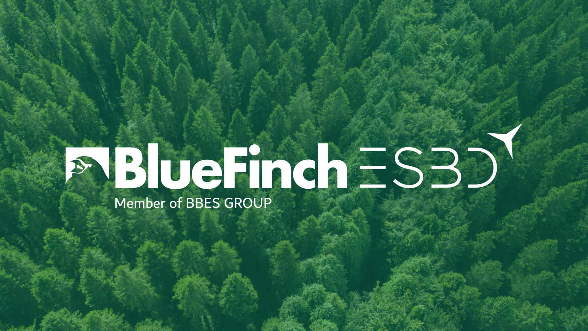 Bluefinch-esbd - BlueFinch ESBD Member of BBES GROUP