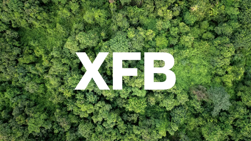 Remplacement de la solution de transferts de fichiers XFB Gateway pour GoAnywhere MFT - White Paper XFB 1024x576 png Bluefinch-esbd - White Paper XFB 1024x576 png