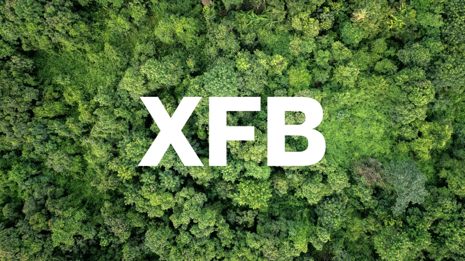 Bluefinch-esbd - White Paper XFB
