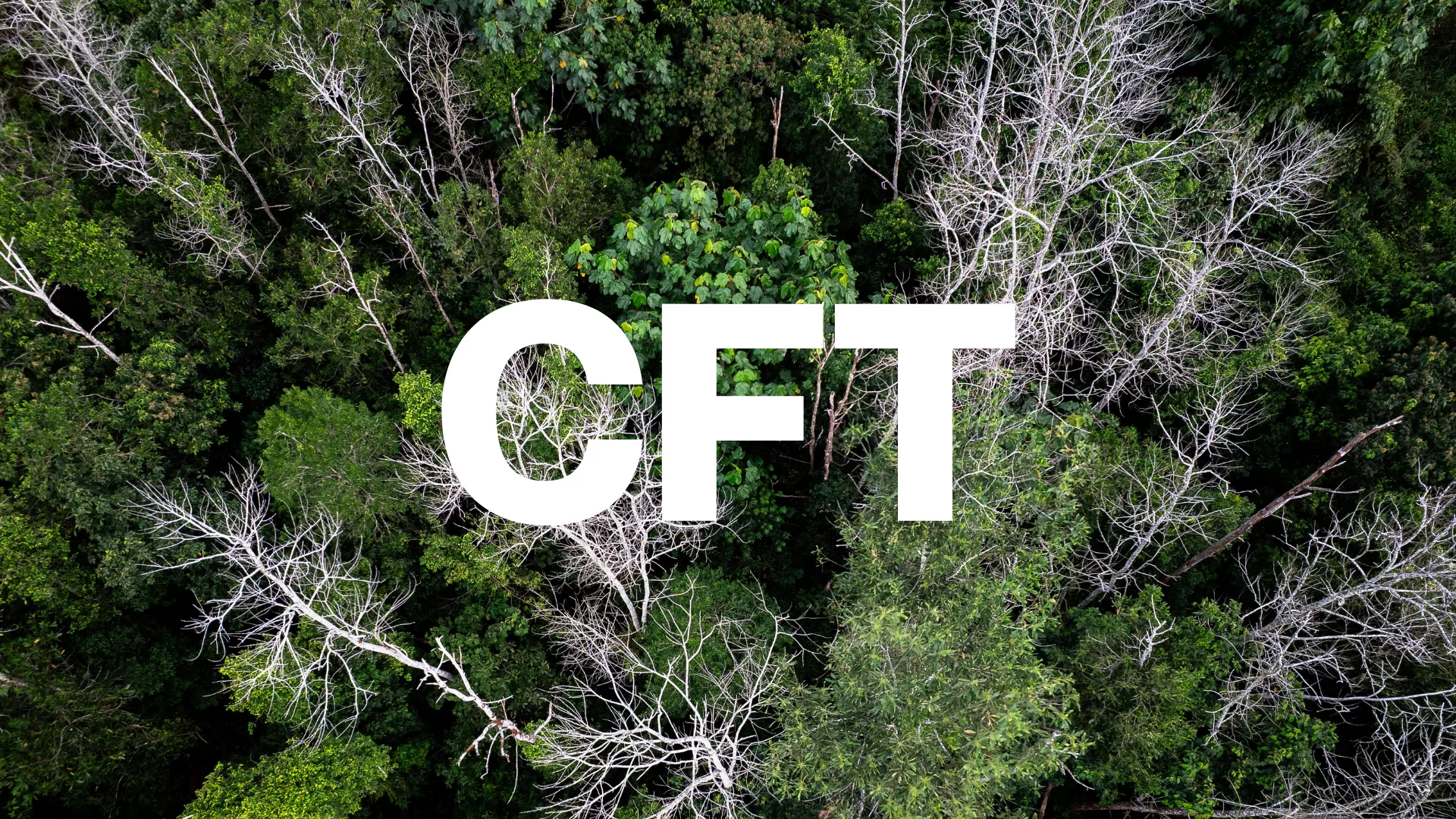 Bluefinch-esbd - White paper CFT