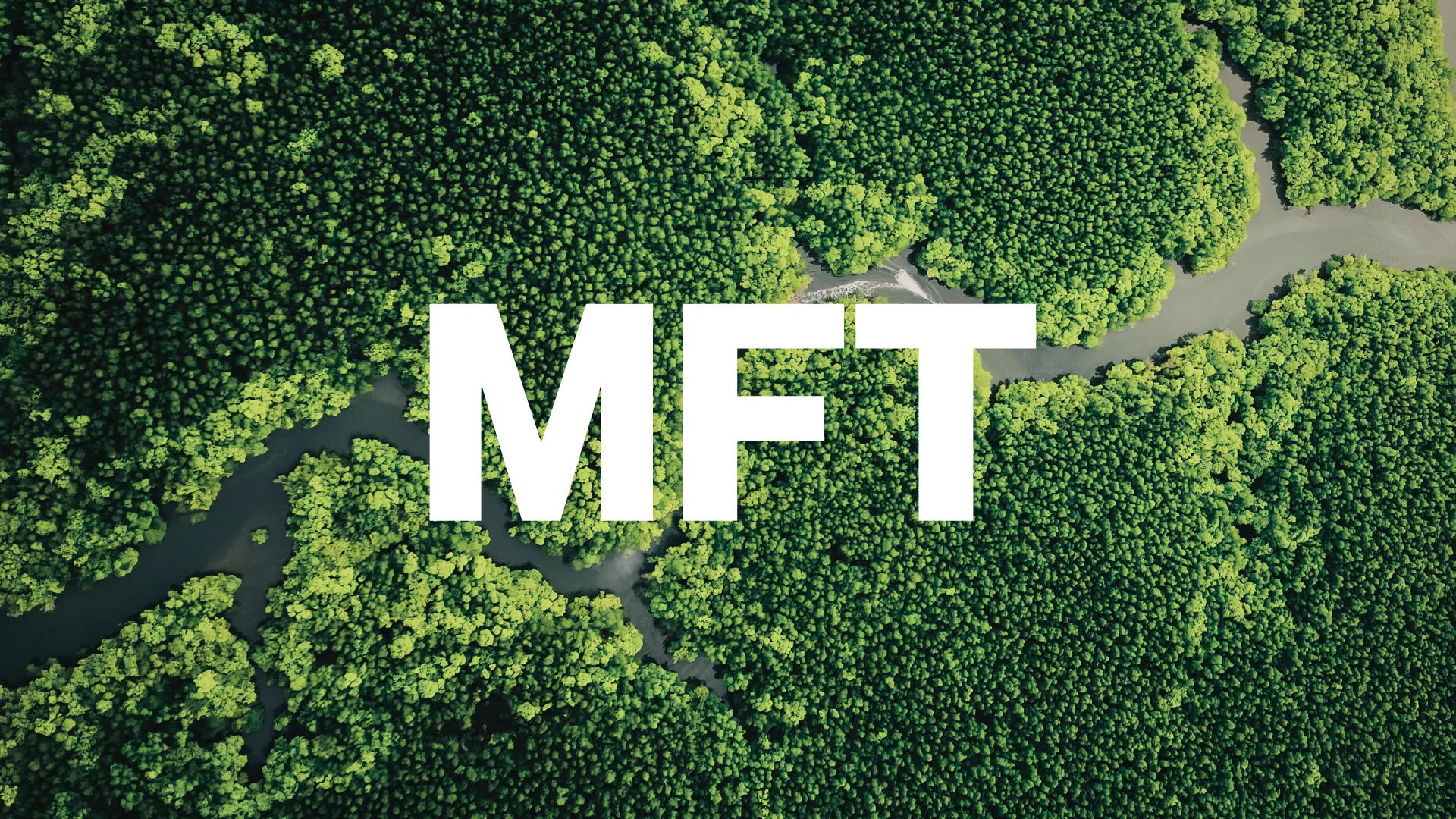 Bluefinch-esbd - White paper MFT