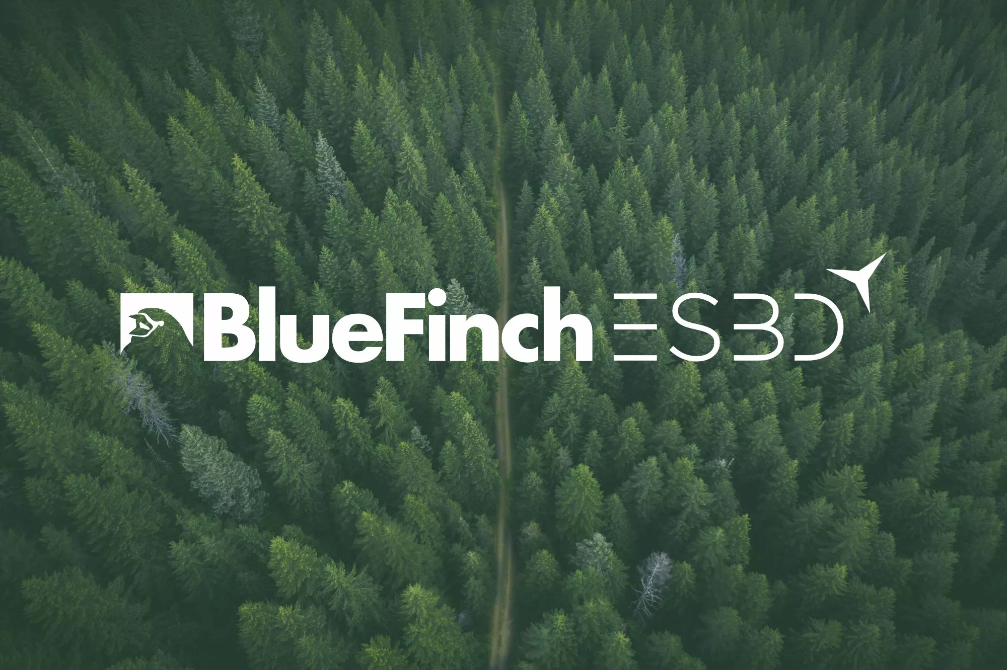 Bluefinch-esbd - bluefinch esbd secure data integration forest green