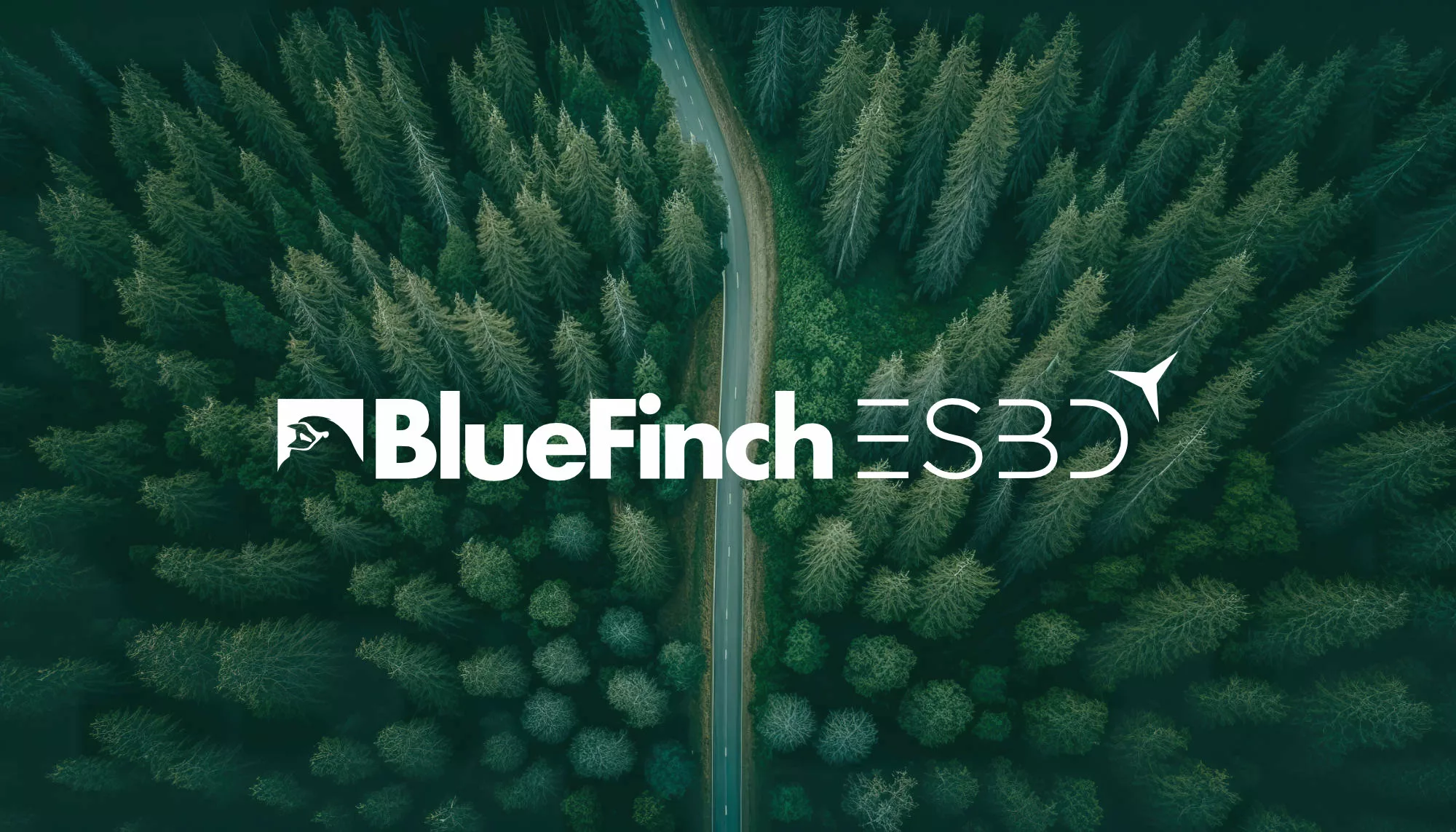 Bluefinch-esbd - bluefinch esbd secure data integration forest road