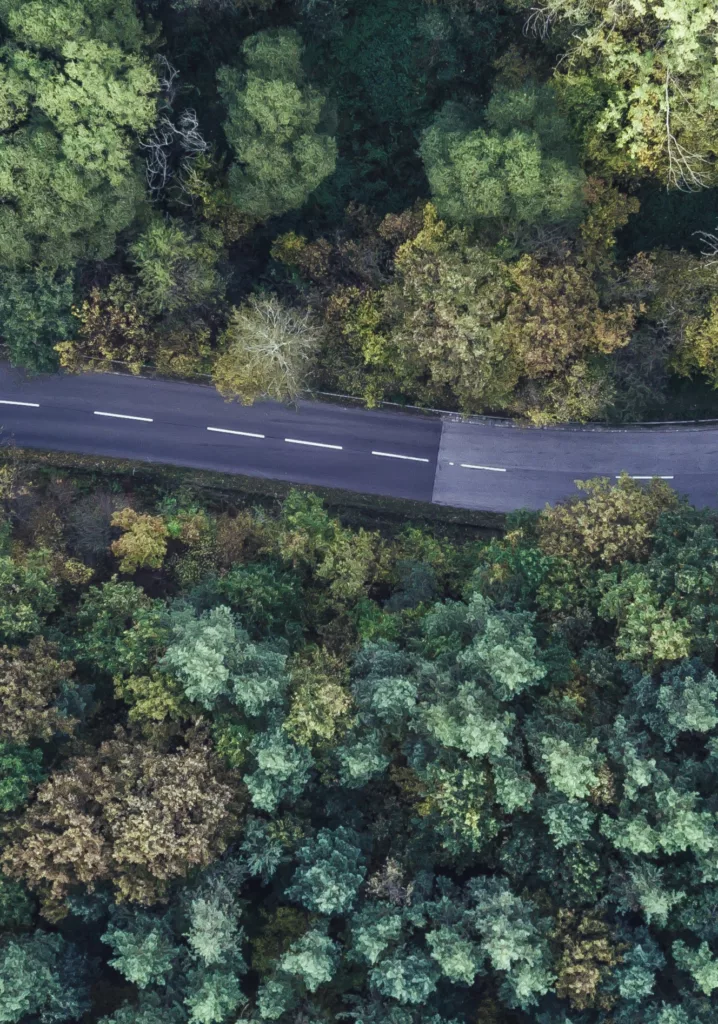 Bluefinch-esbd - 8969dc5d bf84 4c48 a64f ce49a8065061