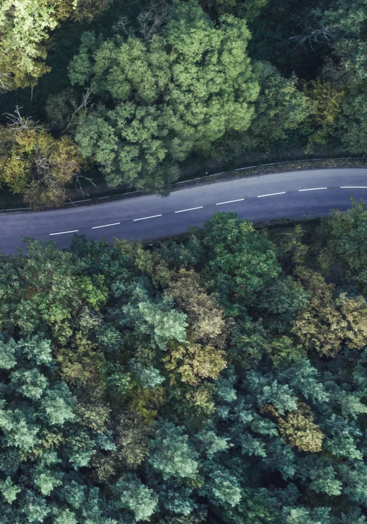 Bluefinch-esbd - Ontwerp zonder titel 2