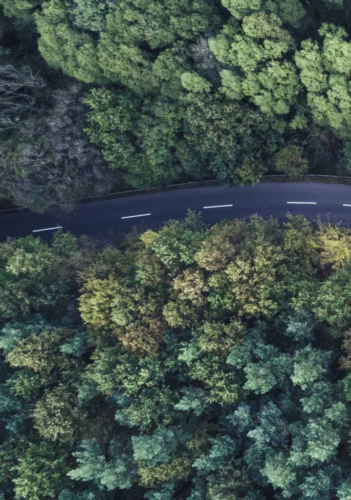 Bluefinch-esbd - f63788ec 2323 4c19 bcfd 64e00ecd8e66